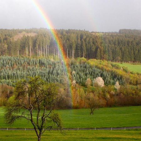 Апартаменты Eifel Rebeige Gerolstein Копп Экстерьер фото