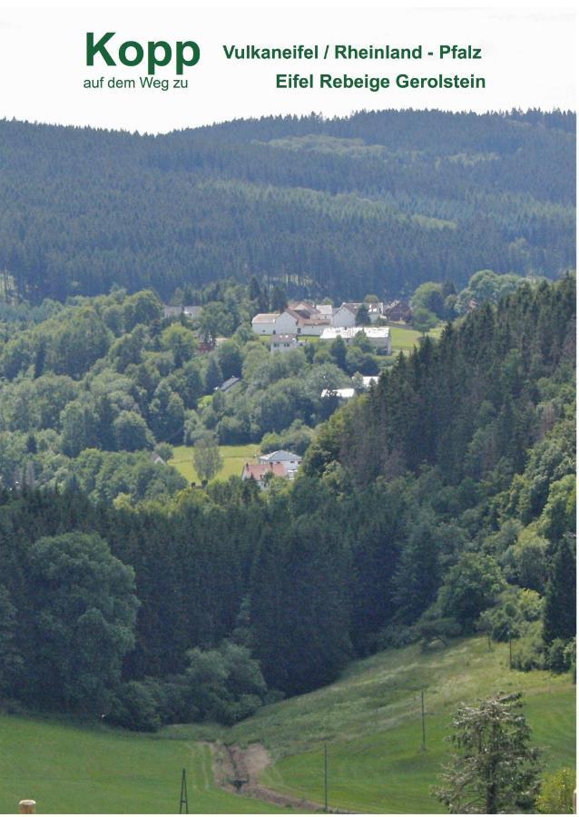 Апартаменты Eifel Rebeige Gerolstein Копп Экстерьер фото